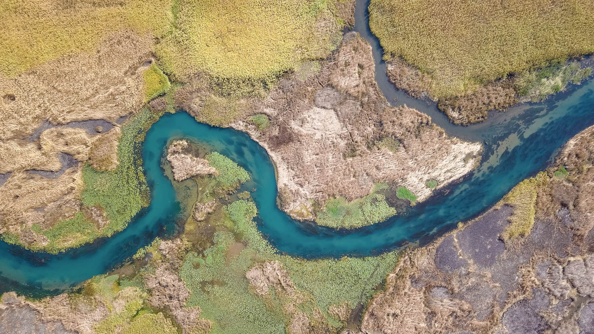A deep blue river snaking through rust and gold marsh, seen from directly above