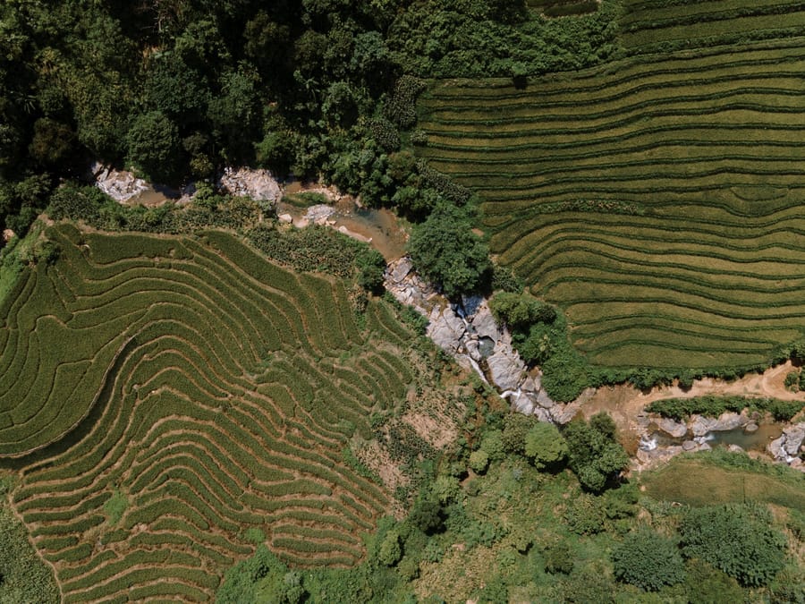 Contour rice terraces cut by a stream, seen from above, Lao Cai, Vietnam